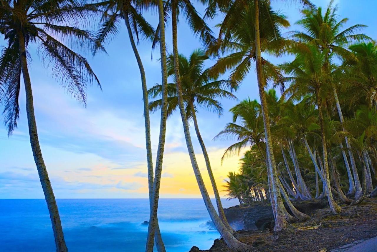 Ocean View Mauna Loa Shores Kai Ekahi #201 Next To Carlsmith Beach Park Hilo Hi Exterior foto